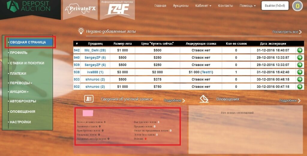 Информация по ставкам, купленным лотам, выставленным лотам и другая информация: